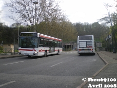 IMGP6007